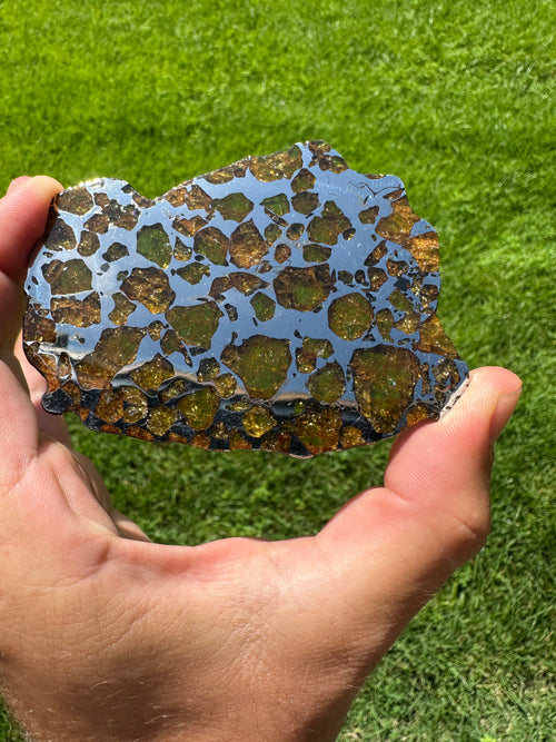 Imilac Pallasite Meteorite slice 60.14 grams