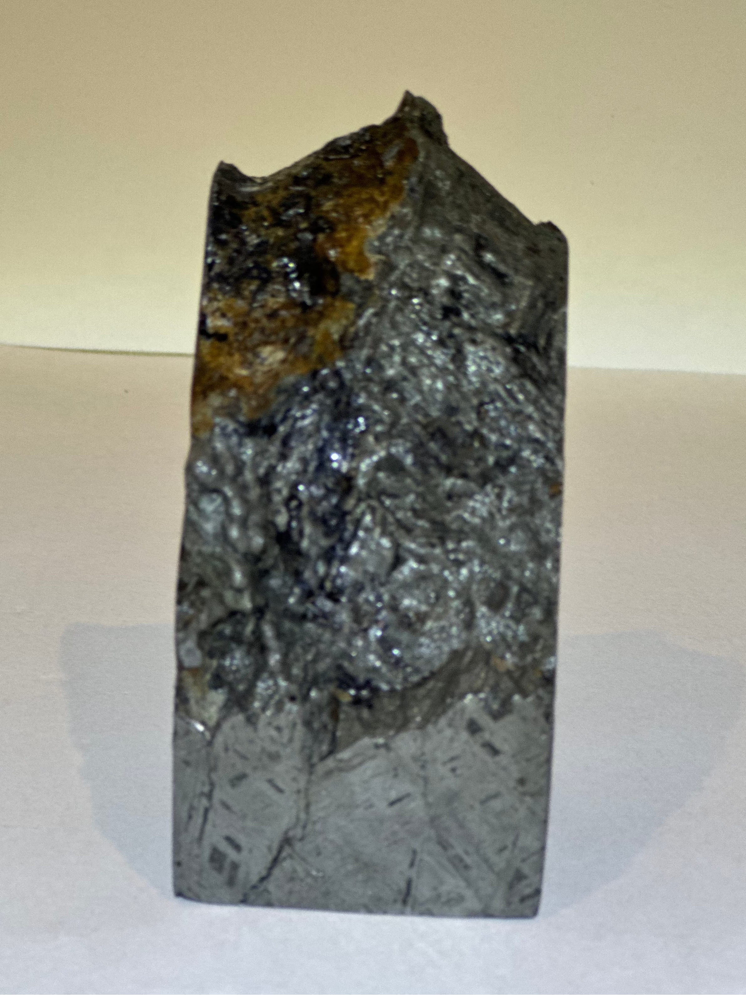 Natural Aletai Iron Meteorite 1100 Grams