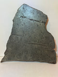 Aletai Meteorite Slice 705 Grams