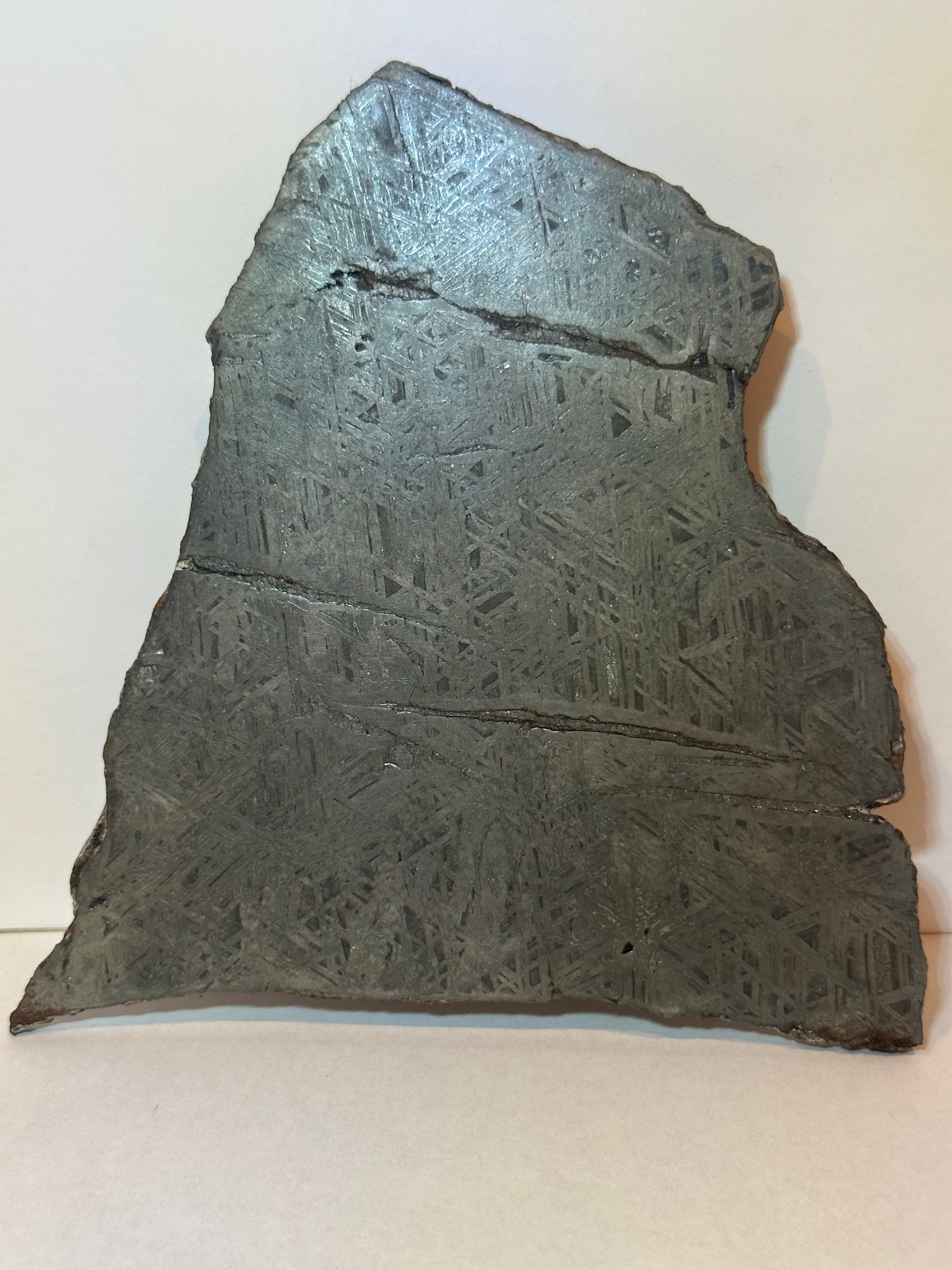 Aletai Meteorite Slice 705 Grams