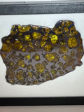 Imilac Pallasite Meteorite slice 60.14 grams