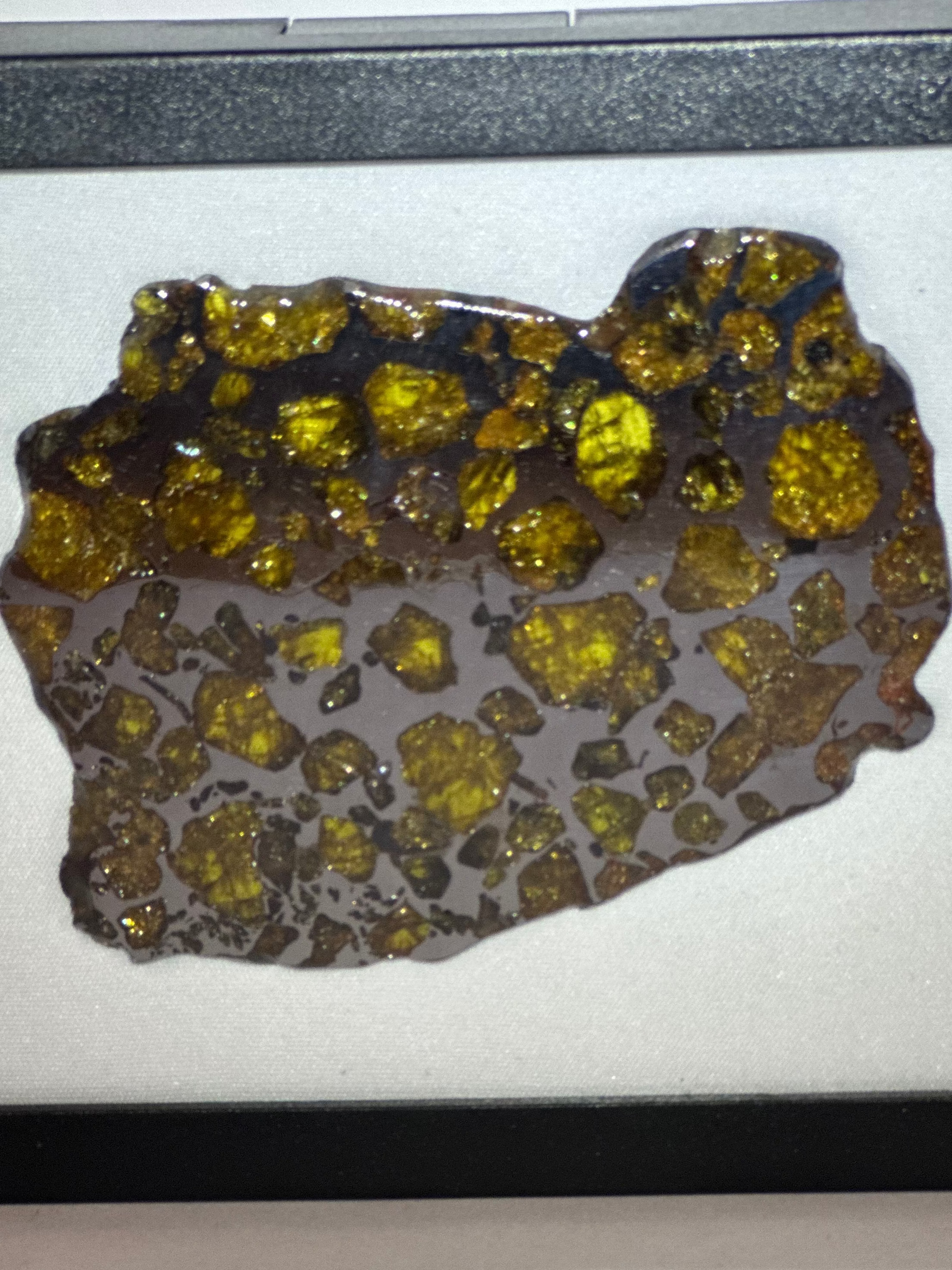 Imilac Pallasite Meteorite slice 60.14 grams